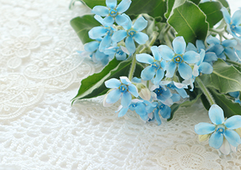 花を長持ちさせるコツ 花瓶の中に塩素系漂白剤か酢を1~2滴混ぜます。